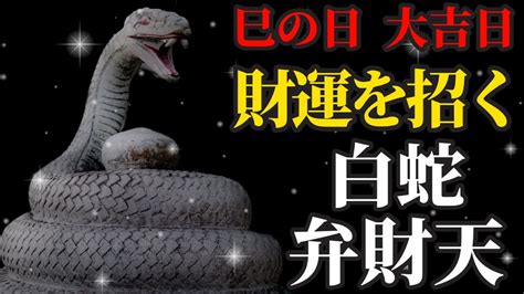 己蛇|巳の日とは？ その由来や当日におすすめの行動から【2024年の。